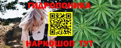 ГАЛЛЮЦИНОГЕННЫЕ ГРИБЫ Волжск