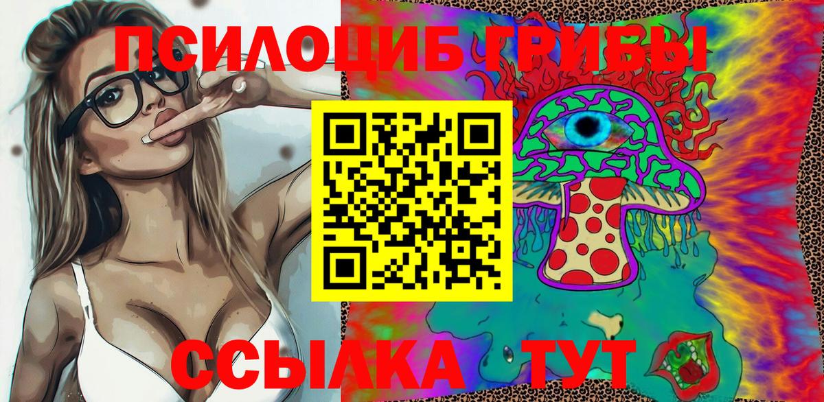 Заинск  Галлюциногенные грибы Psilocybe  Псилоцибиновые грибы GOLDEN TEACHER  Вход с VPN 