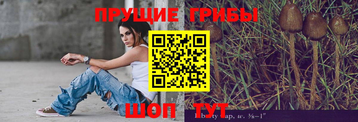 Галлюциногенные грибы прущие грибы Заинск